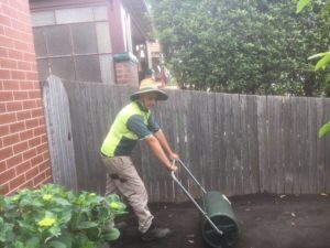 Lush Lawn Care