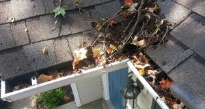 blocked gutters