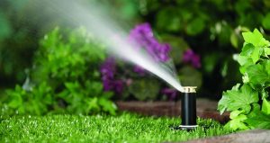 Watering System Sydney