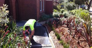 Sydney lawn care
