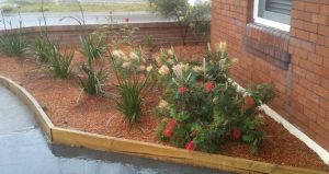 plant removal