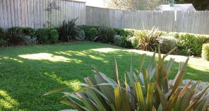 Hedges pruned