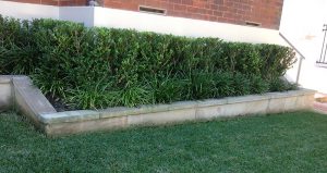Annandale Lawn Mowing