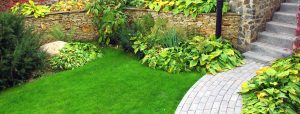 lawn care sydney