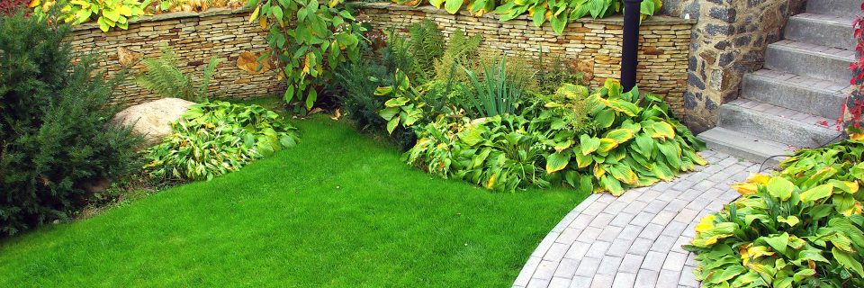 Experts in Garden Design
and Turf Management
