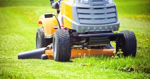 Lawn Mowing Sydney