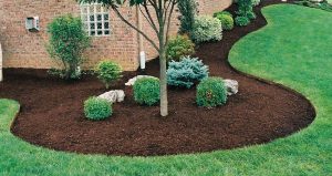 Mulch Sydney