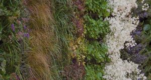 wall garden