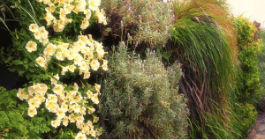 wall garden