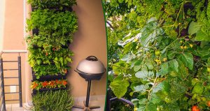 wall garden veggies