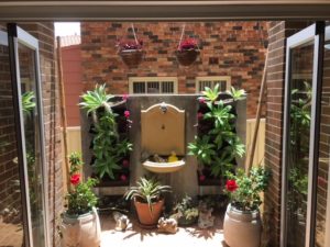 wall garden sydney