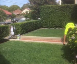 Lawn Care and Paving