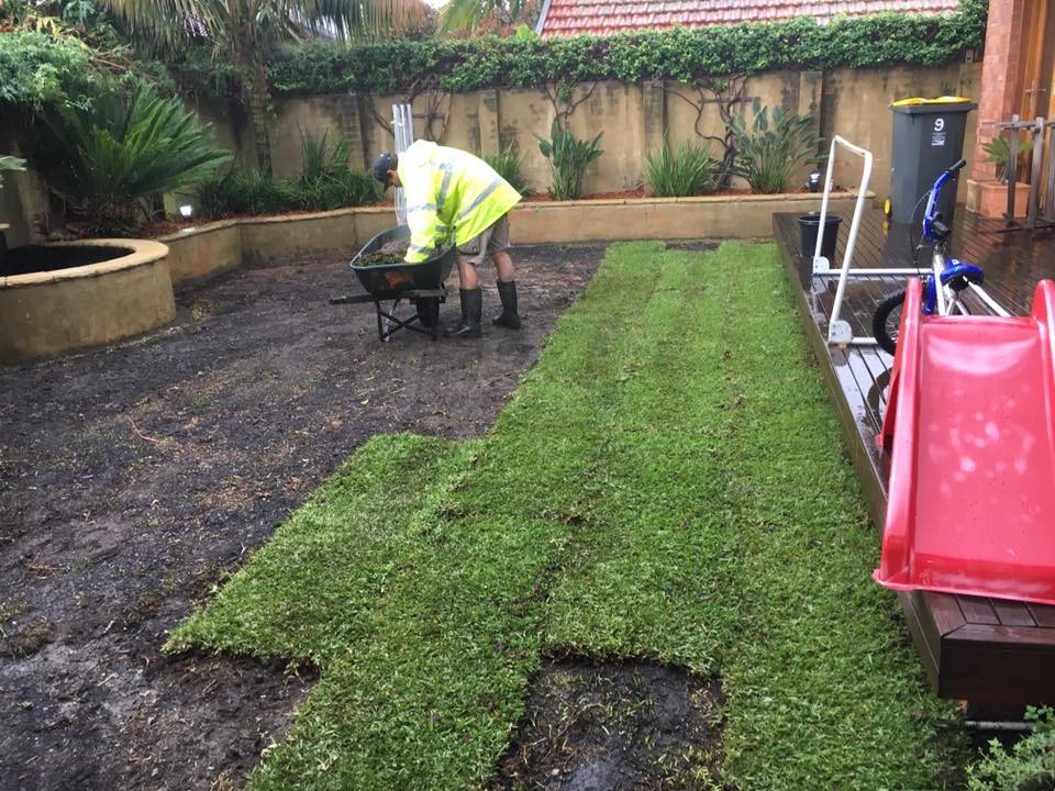 lawn care lush