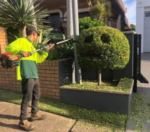 Hedge pruning