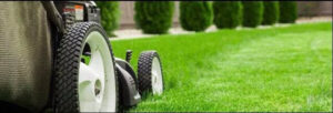 Lush green lawns