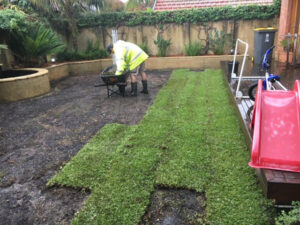 lush lawn care service